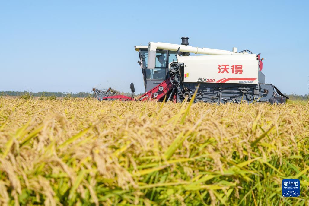 全球通娱乐